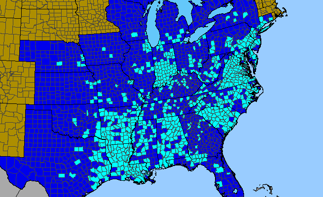The range of Potentilla indica